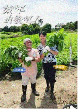 综艺节目极限挑战封面