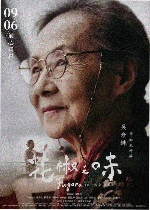 动漫斗破苍穹封面